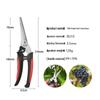 Multi-functional Stainless Steel Pruning Shears for Gardening, Bonsai, Fruit Trees, Grapes, and Peppers.
