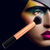 Color Cosmetic Brush Tool Accessories Concealer Eye Shadow Basic Makeup Settings Facial Contour Professional Beauty Tools