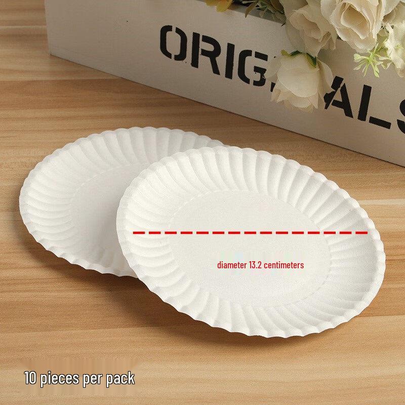 ZISIZ Disposable Paper Plate