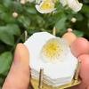 Mini Blomsterpresse Nøglering Metal Bærbar Mikroblomster Tørrepresse Sæt med 20 Papir Håndlavet Blomsterbevaringsværktøj til Vandreture