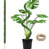1pc Bendable Moss Pole for Plants Monstera Moss Poles for Climbing Plants  Plant Stakes for Indoor, Monstera Plant Support