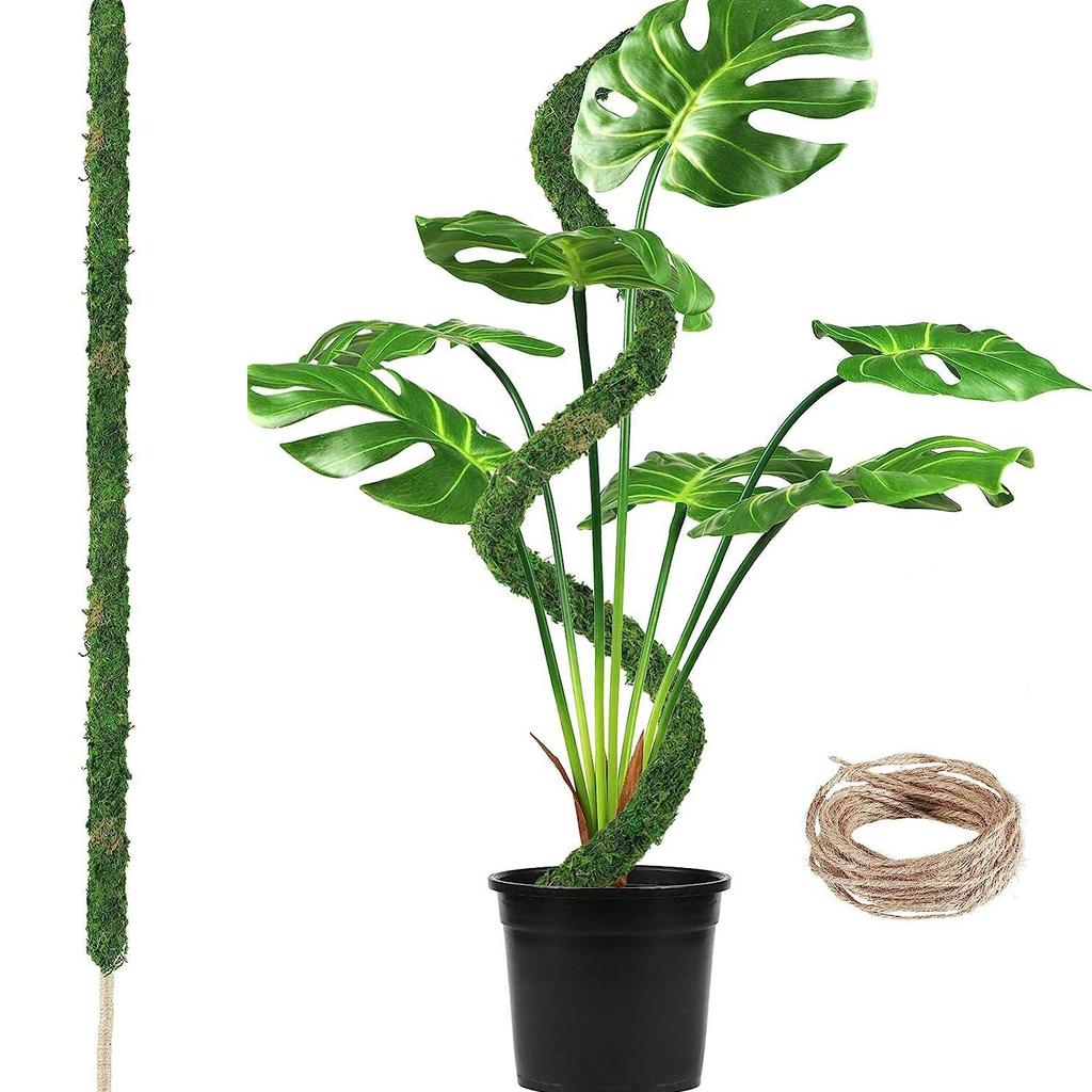 1pc Bendable Moss Pole for Plants Monstera Moss Poles for Climbing Plants Plant Stakes for Indoor, Monstera Plant Support