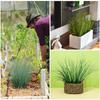 5Pcs Artificial Onion Grass Fake Greenery For DIY Wedding Venue Home Decor Potted Ornament Fake Plant Outdoor Garden Decoration