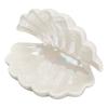 Shell Shape Ceramic Jewelry Plate, Storage Tray for Rings, Necklaces, Earring, White, 105x136x106mm