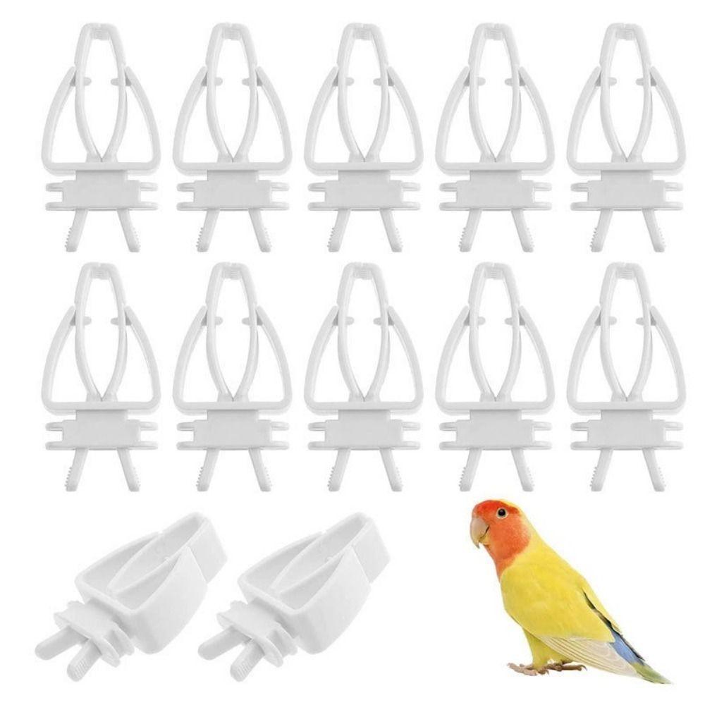 6Pcs Mini Pet Bird Food Clip Plastic Parrot Fruit Vegetable Clip  Pet Parrot Feeding