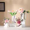 Modern Color Special-shaped Ceramic Vase Art Streamline Color Irregular Hydroponic Vase Flower Arrangement Container Decoration