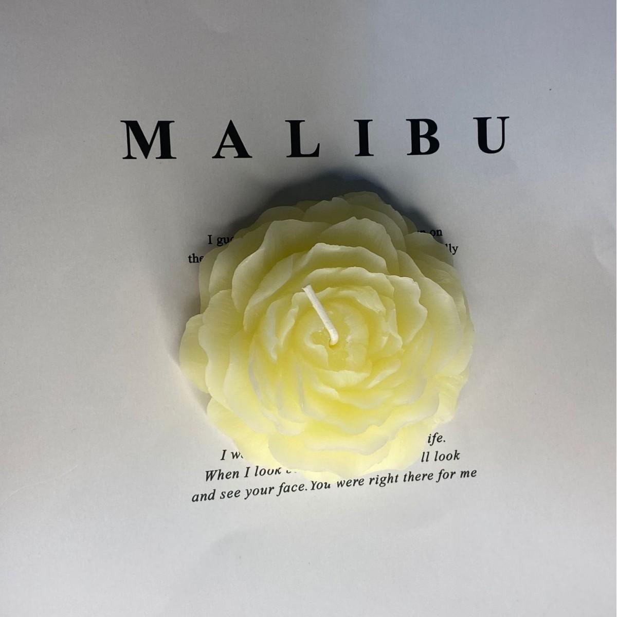 

Подарочная ароматерапевтическая свеча с цветком пиона – Идеально подходит на день рождения или День богини