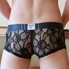 Muži Sexy Síťované Průsvitné spodní prádlo Krajka Ultra tenké Perspektivní Kalhotky Kluci Váček na penis Tanga Intimní kalhotky