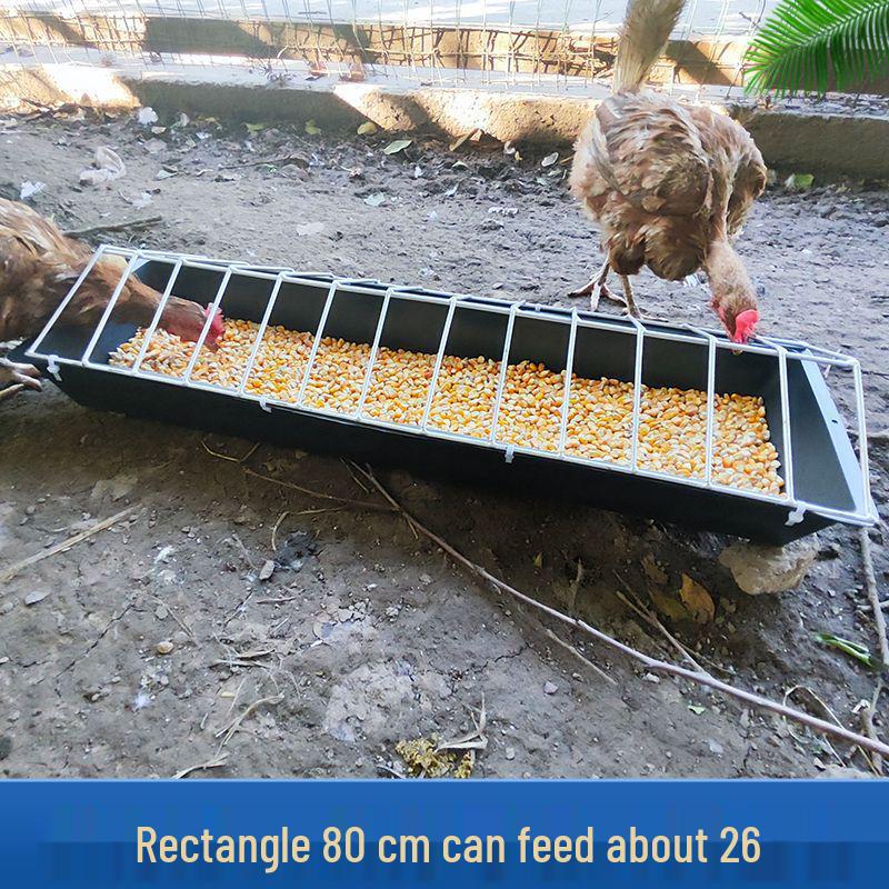 Automatic Free-Range Chicken, Duck, and Goose Feeder - Spill-Proof, Durable, and Carefully Designed