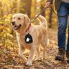 Zippered Halloween Dog Snack Pack Spill-Proof Dog Snack Bag Portable Pet Snack Pouch Hiking