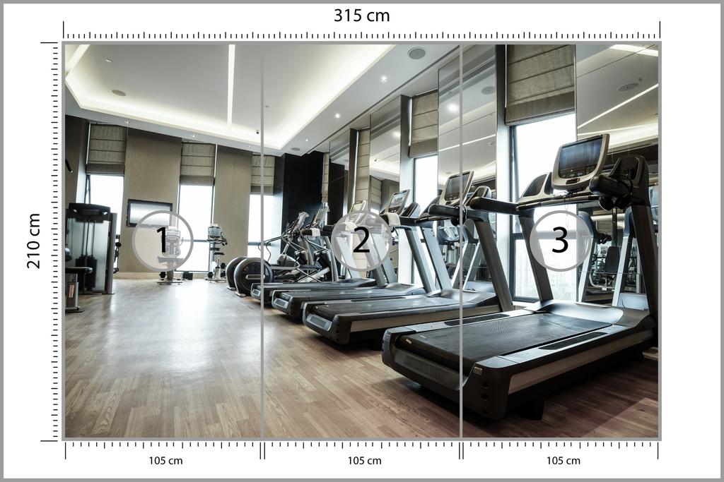 Photomural Modern Fitness Club Washable Fleece 315x210