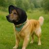 Pet Dog Anti-Mosquito Headwear, Two Colors - Bite & Eating Protection