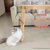חתולים – אביזרי אילוף לחתול