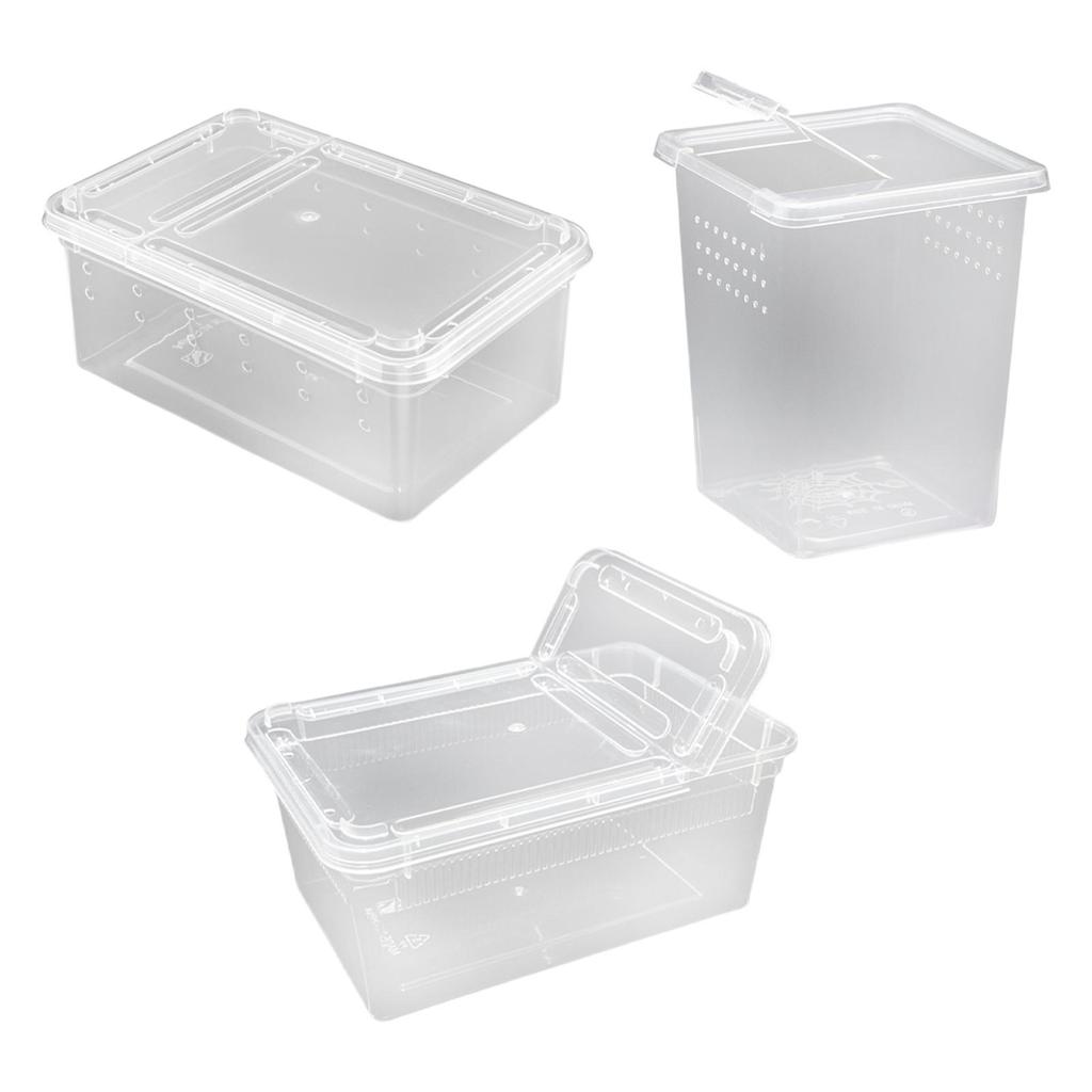Reptile Feeding Box Turtle Transport Container Mini for Frog Scorpion Gecko