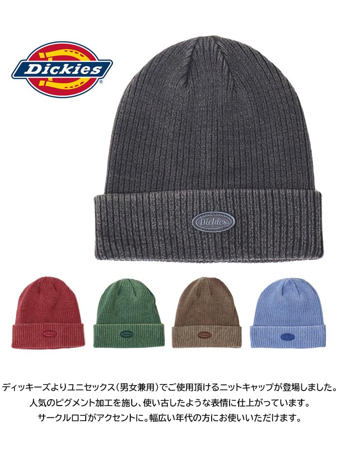 Dickies Pigmented Knit Cap, Cuff Knit Beanie, 81277800 (JP, Alphabet, Free Size, 80: Black)