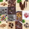 Photography Props: Dried Flowers, Pine Cones, Cotton Branches, Red Berries, Rattan Fruit, Dried Leaves, Lotus Pods, Water Pods.