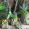 Forest Style Artificial Tree Stump with Moss Bark - Kindergarten and Country Style Decorative Ornament, Perfect for Landscaping or Inserting Flowers.