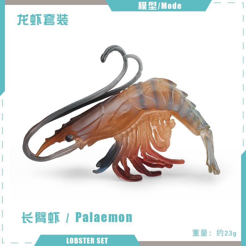 Detailed Plastic Lobster And Shrimp Models For Realistic Aquatic Themed Decor