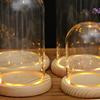 Clear Glass Display Dome with LED Wood Base Microlandscape Holder Glass Cover  for Birthday Gift Bedroom Home Decoration