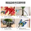 Facai Tree Nantianzhu Mizhu Bryophyte Green Plants Potted In the Living Room Office Small Leaf Rosewood Potted Landscape