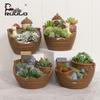 Retro Turtle Resin Succulent Pot: Decorative Cartoon Micro Landscape Planter