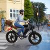X70G Electric Bicycle - 750W motor, 80km range, maximum load capacity 150kg