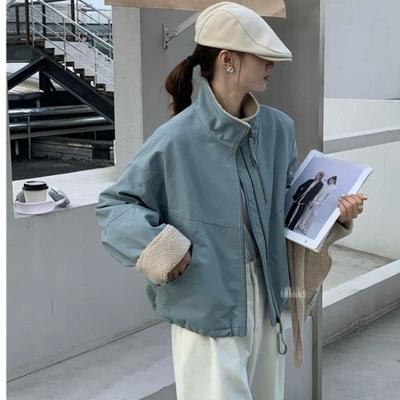 Lamb Wool Short Pie Overcomes Women's Winter Casual Loose Small Cotton Jacket