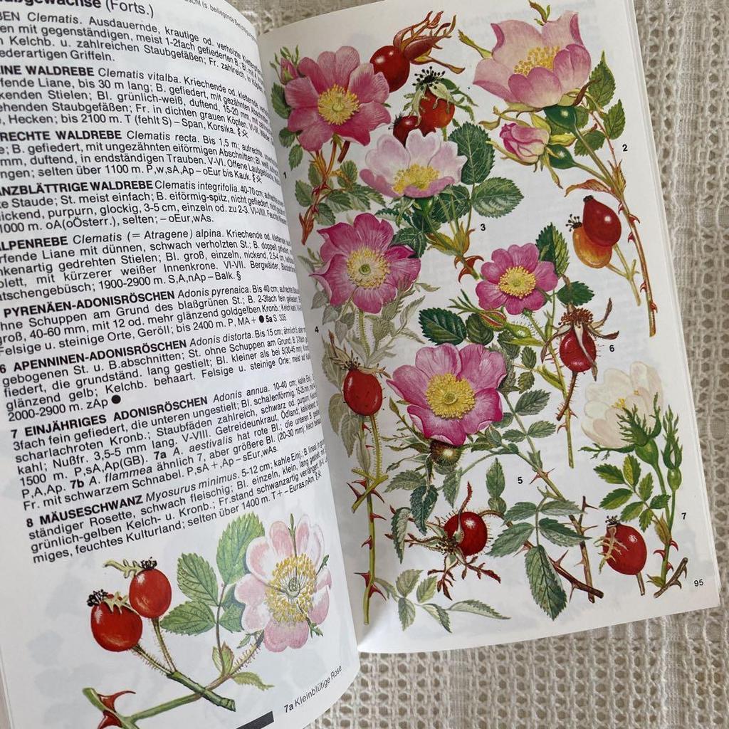 [USED] 1980, Plenty of illustrations, over 3000 items, Marjorie Blamey's Alpine Plant Encyclopedia