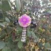 Sturdy And Comfortable Korean Headband High Quality Korean Hair Accessory Beautiful Headbands for Casual or Party Wear