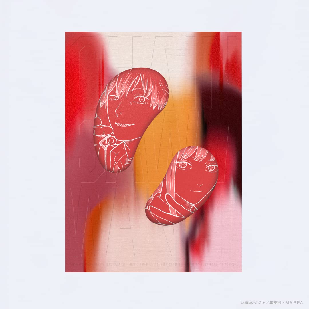 

Chainsaw Man DVD Vol.4 [DVD]