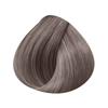 L'Oréal Professionnel Paris - Colorare gel-cremă Ton pe Ton Dialight - 10.21 : Milkshake Sorbet - 50ml