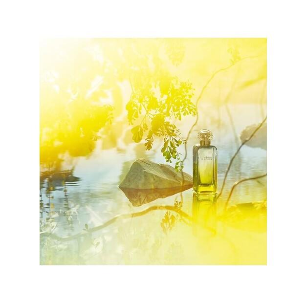 Парфюмерная вода Hermes Le Jardin De Monsieur Li