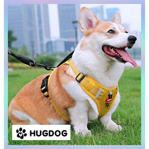 Hugdog Control Belt Safety Harness, Fun Yellow