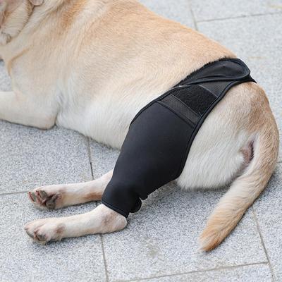 Pads Dog Elbow Neoprene Protective Sleeve Knee Brace