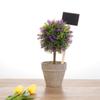 Greenhouse  House Decorations Plants Tags Classification Marker Wooden Chalkboard Garden Tools
