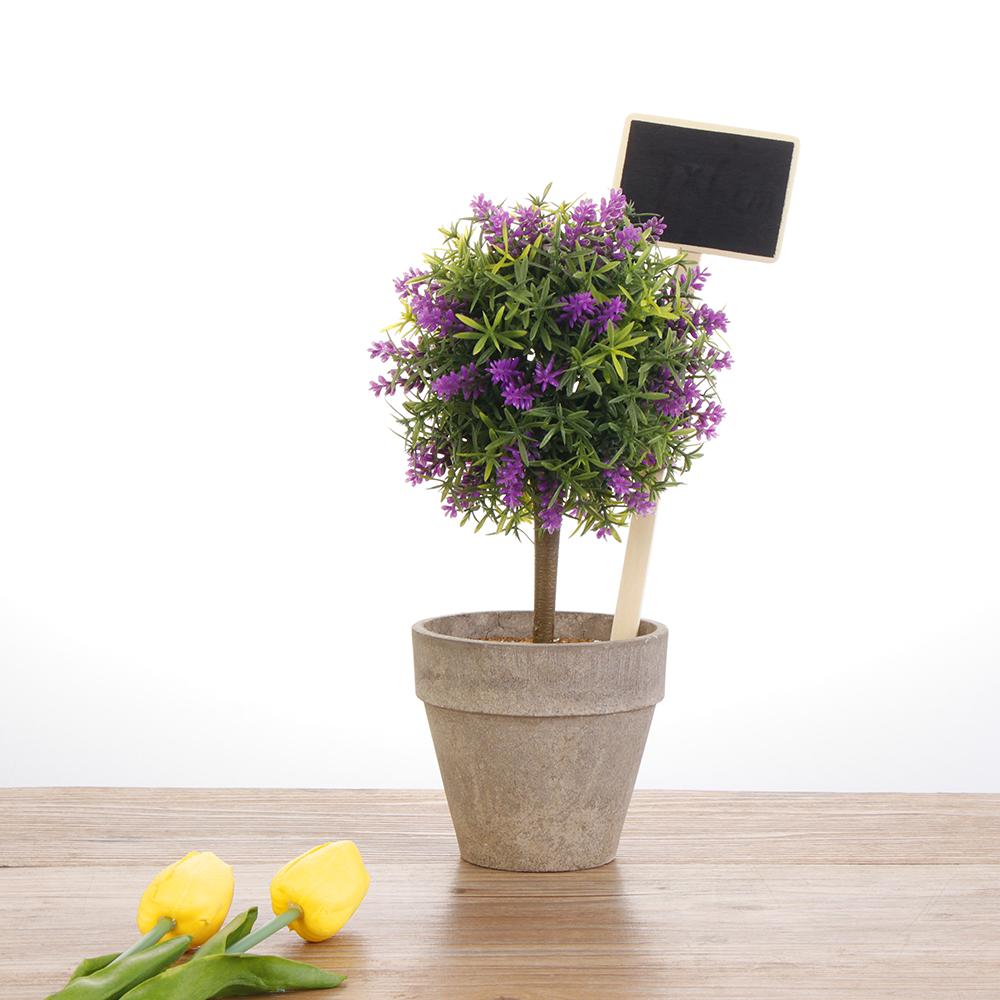 Greenhouse  House Decorations Plants Tags Classification Marker Wooden Chalkboard Garden Tools