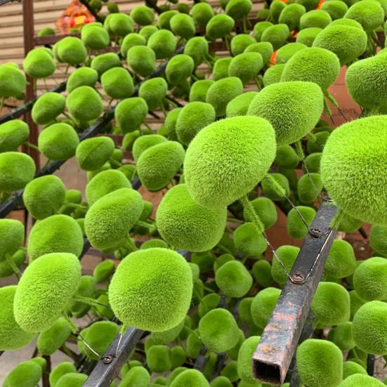 Artificial Moss Rocks Greenery Decorative Moss Covered Stone Fake Moss Decor for Floral Arrangement Fairy Garden Crafting