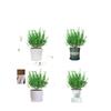 Potted Rosemary and Mint Seedlings: Edible, Mosquito-Repellent Herbs for Indoor Use