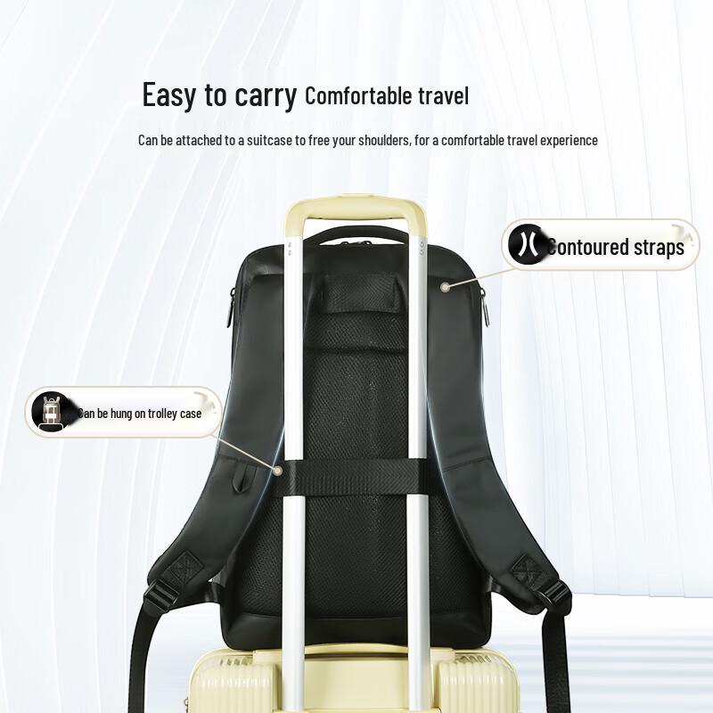 Diplomat Business Travel Laptop Backpack