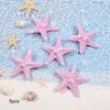 5 Pcs Starfish Hair Clip Beach Sea Star Hair Pins Mermaid Hair Clips Accessories for Women and Girls