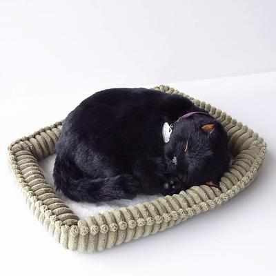 Ninian and Kino Perfect Pet (Small) Black Cat Plush Toy, Realistic, Lifelike, Animal, Soothing, Moving, Perfect Gift, Celebration, Cute, Plush Cat