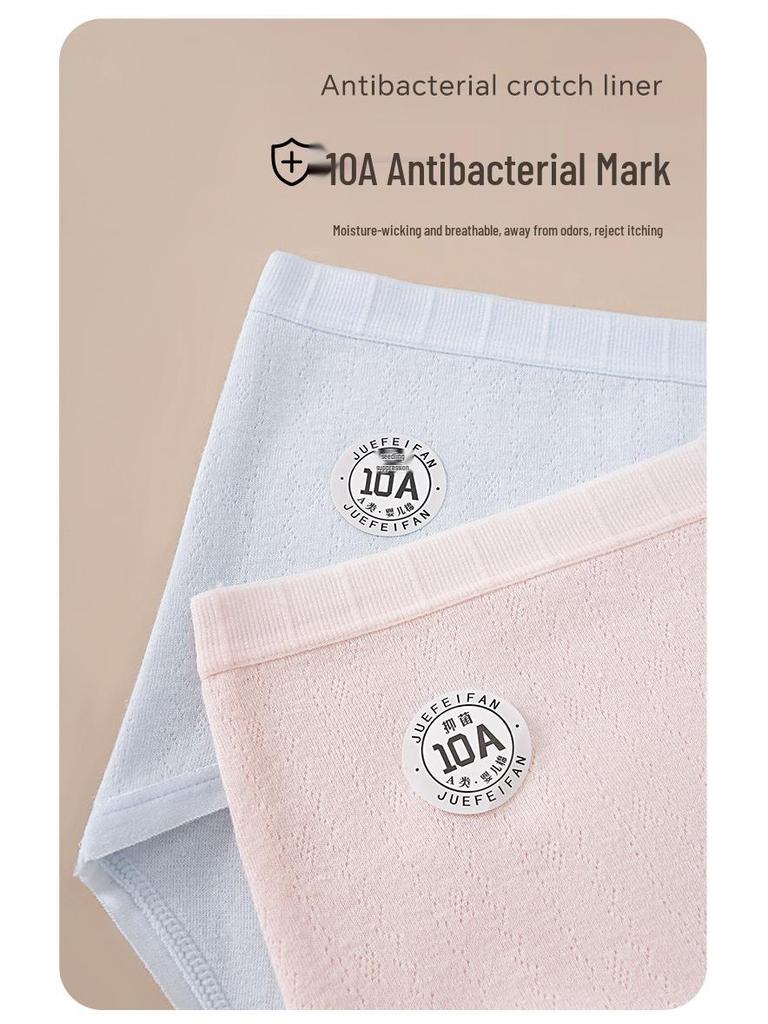 10A Seamless Women's Pure Cotton Antibacterial Plus Size Briefs with Extended Crotch & Breathable Design