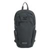 Prism 20L Backpack