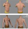 Supicos HUWAHUWA Muscle Suit with 4 Colors 2 Long Short Handsome Silicone Muscle Macho Fake Fake Cosplay Costume Long Zipper, & Sizes, & Sleeves,