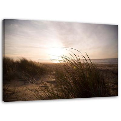 Canvas Print Beach Grass Sunset