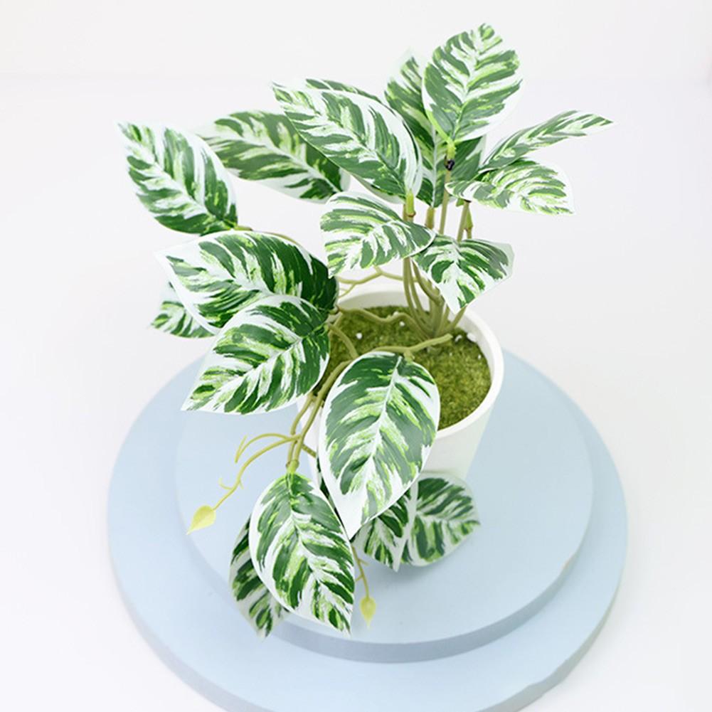 For Shops Bonsai For Weddings Parties Plastic Beautiful