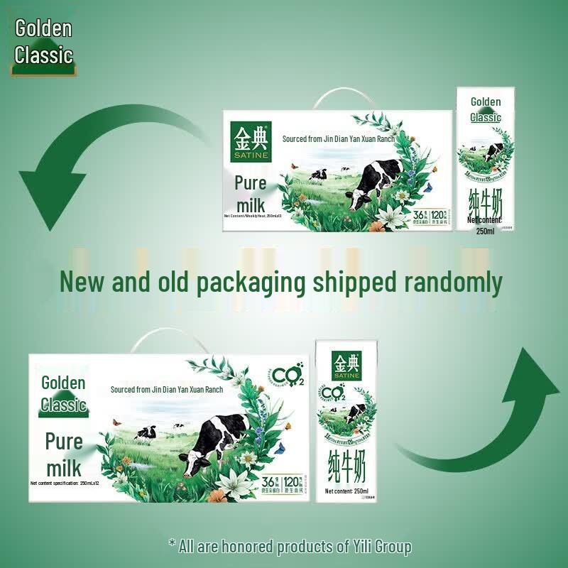 Yili DH Pure Milk