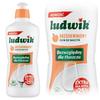 Ludwik Liquide Vaisselle 450 G Pêche, Sans Graisse