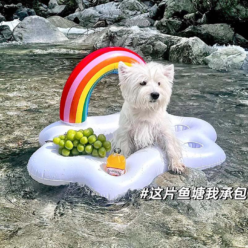 Summer Party Bucket Rainbow Cloud Cup Holder Inflatable Pool Float Beer Drinking Cooler Table Bar Tray Beach Swimming Ring