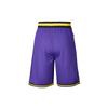 Nike NBA Statement DNA Los Angeles Lakers Basketball Training Sports Shorts Purple Men's AV3537-504